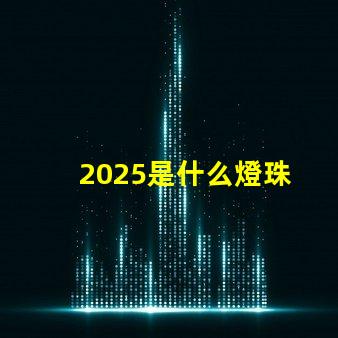 2025是什么燈珠 2025燈珠的尺寸